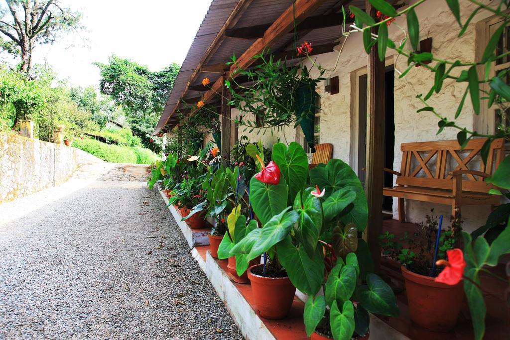 Thekkady Kalarickal Heritage Bungalow Vandanmedu Exteriör bild