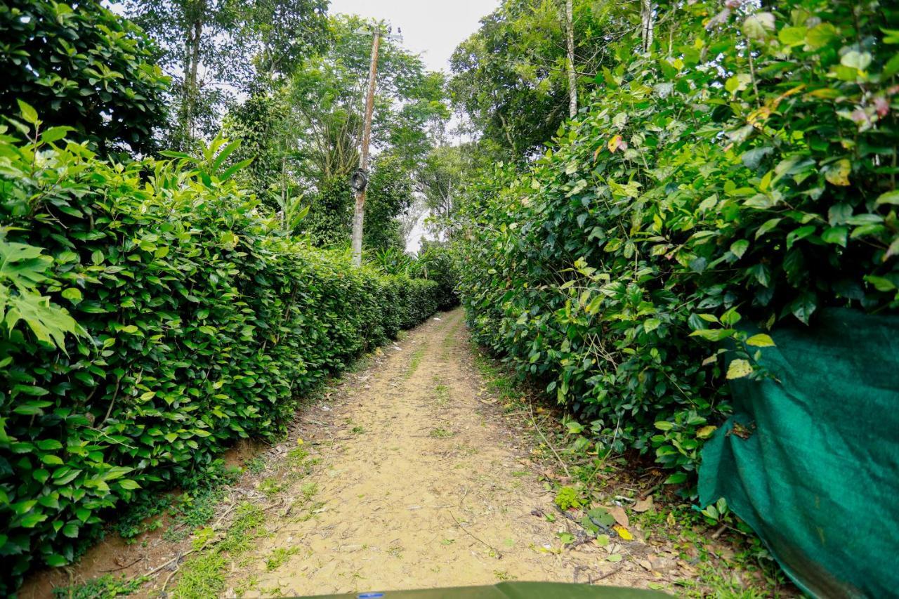 Thekkady Kalarickal Heritage Bungalow Vandanmedu Exteriör bild