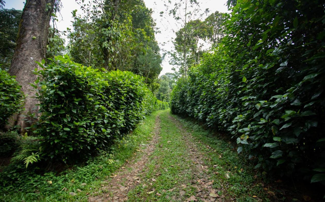 Thekkady Kalarickal Heritage Bungalow Vandanmedu Exteriör bild